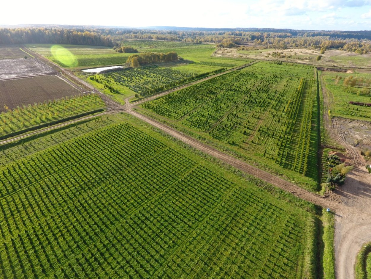 Заповедник каменная степь Воронежская область