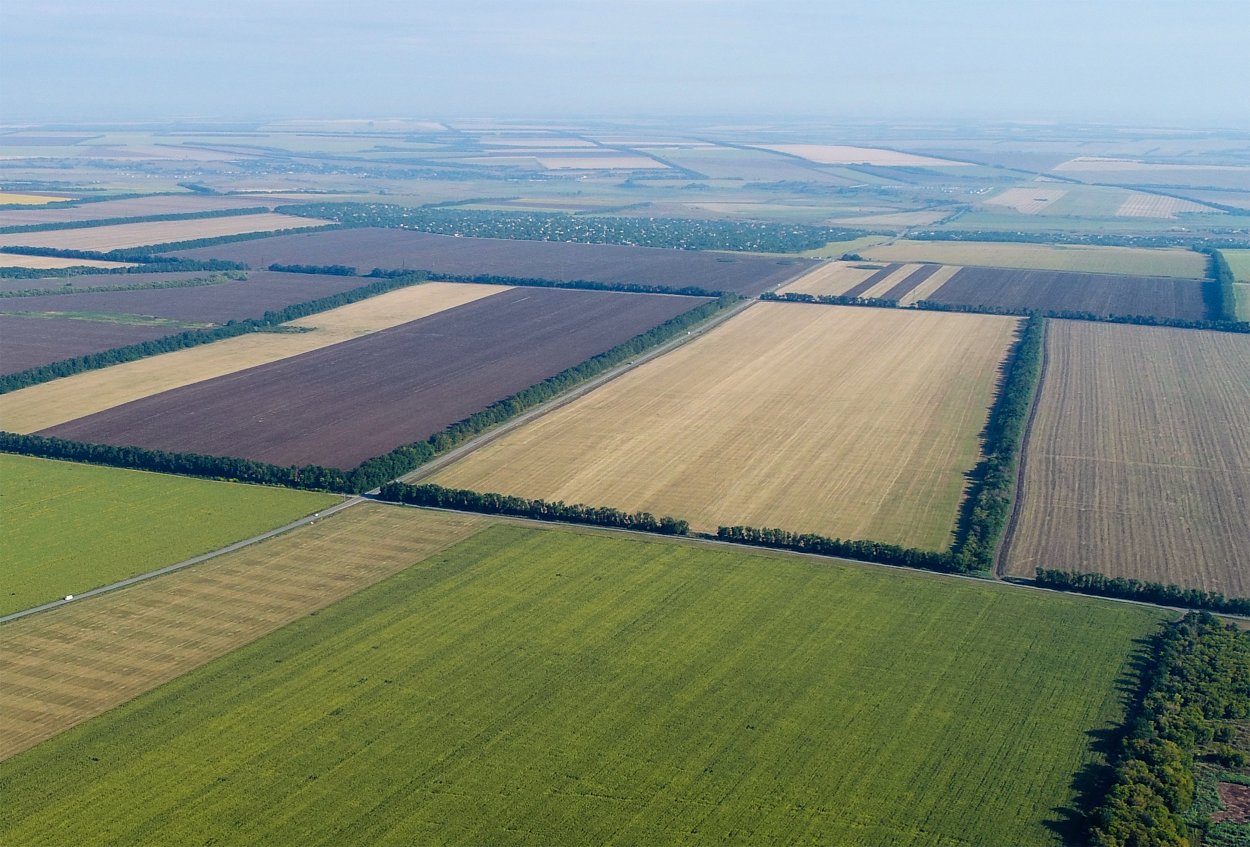 Полезащитные Лесные полосы Воронежа