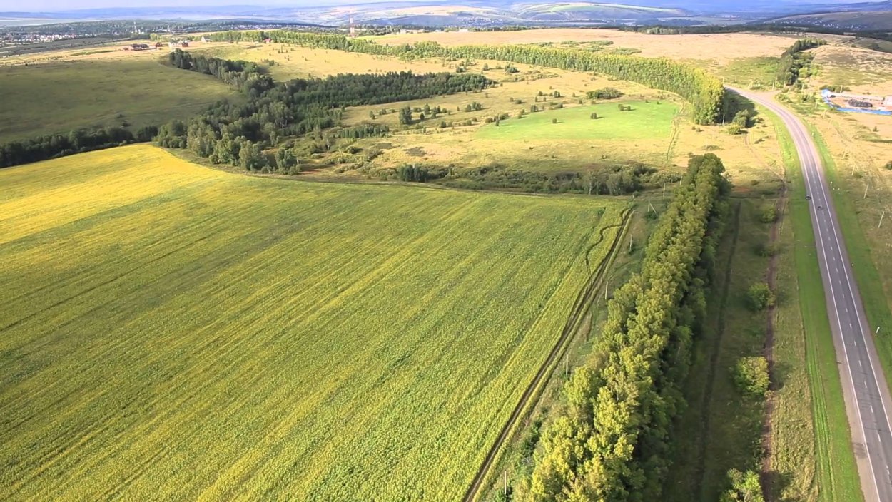 Поле вид сверху