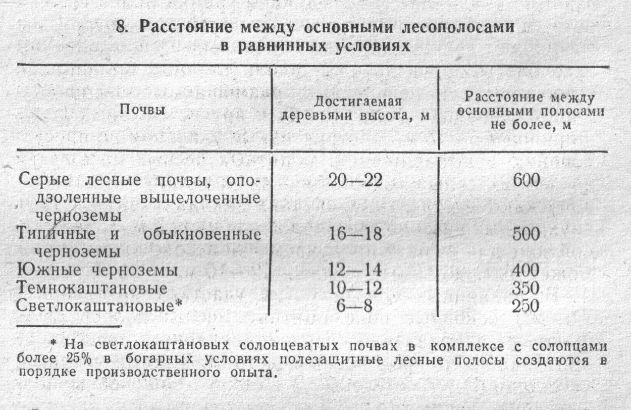 Деревья вдоль трассы