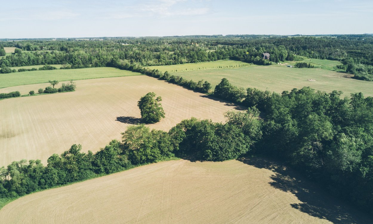 Таврический район Омской области природа