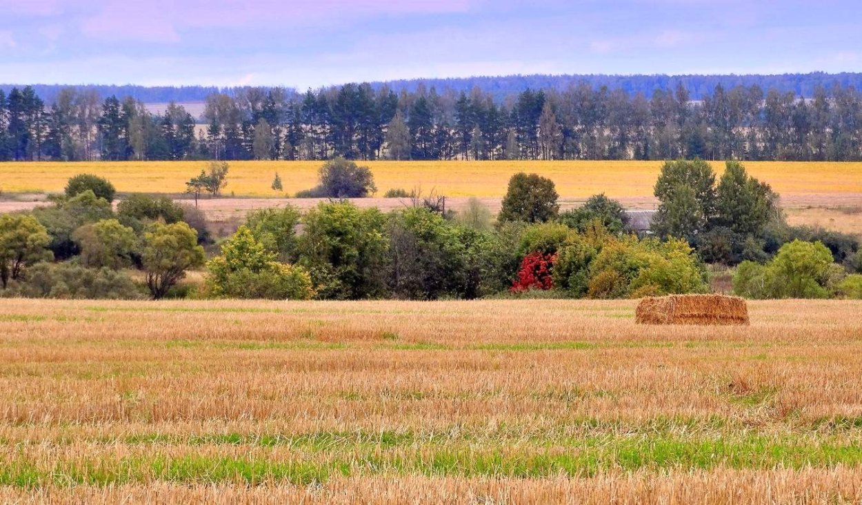 Лесомелиорация ландшафтов