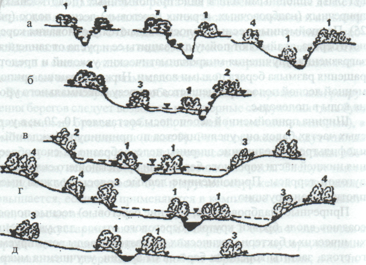 Лесополосы на полях