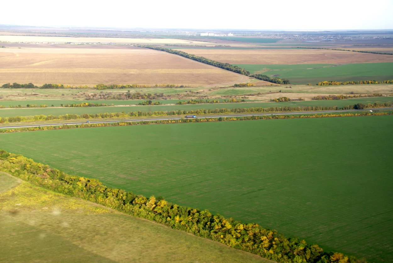 Лесное Лесопитомник