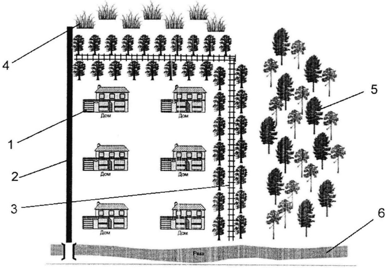 Лесомелиоративные насаждения