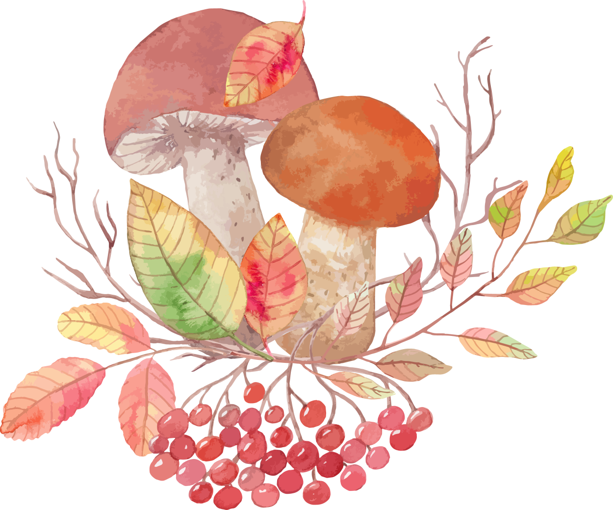 Грибы и ягоды акварель