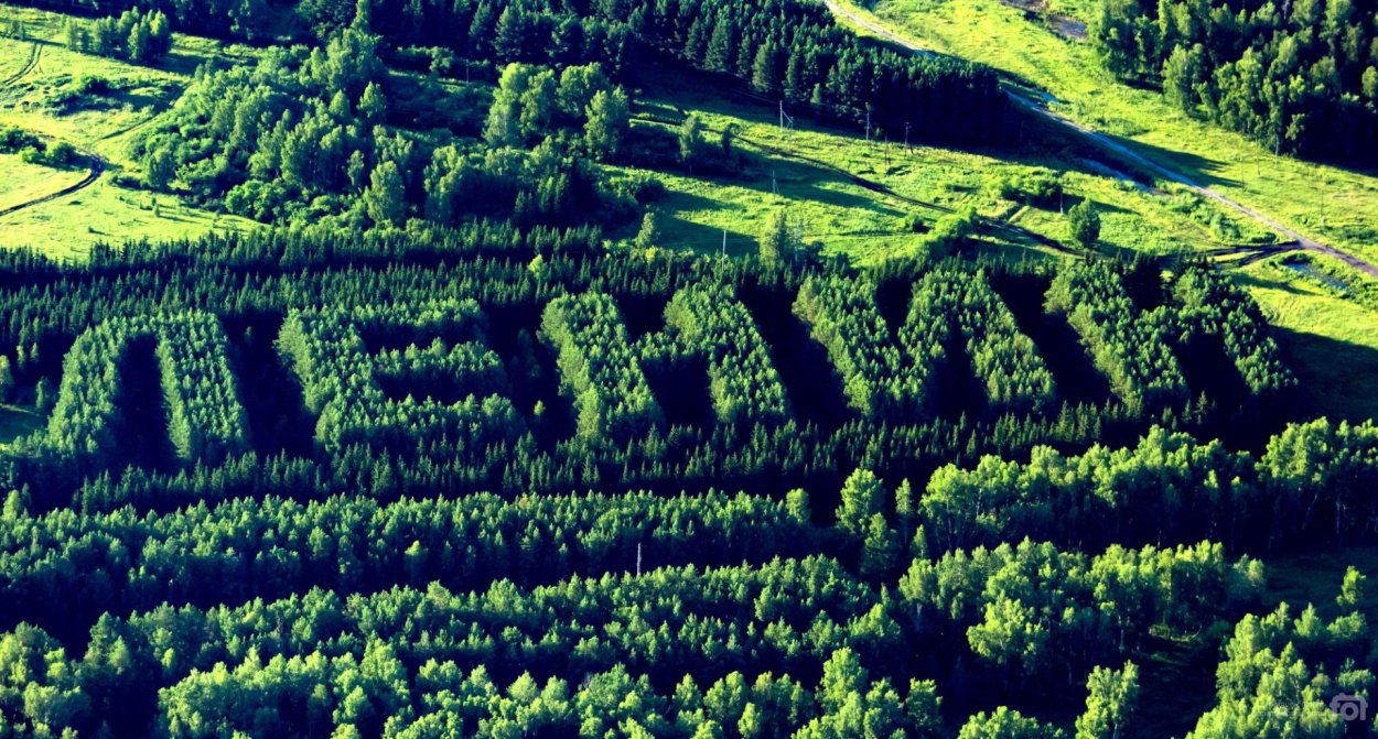 Тюкалинск лес Ленин