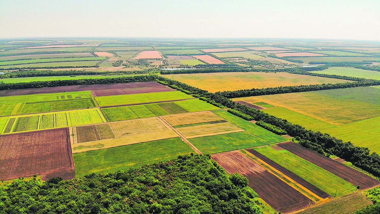Каменная степь Таловский район