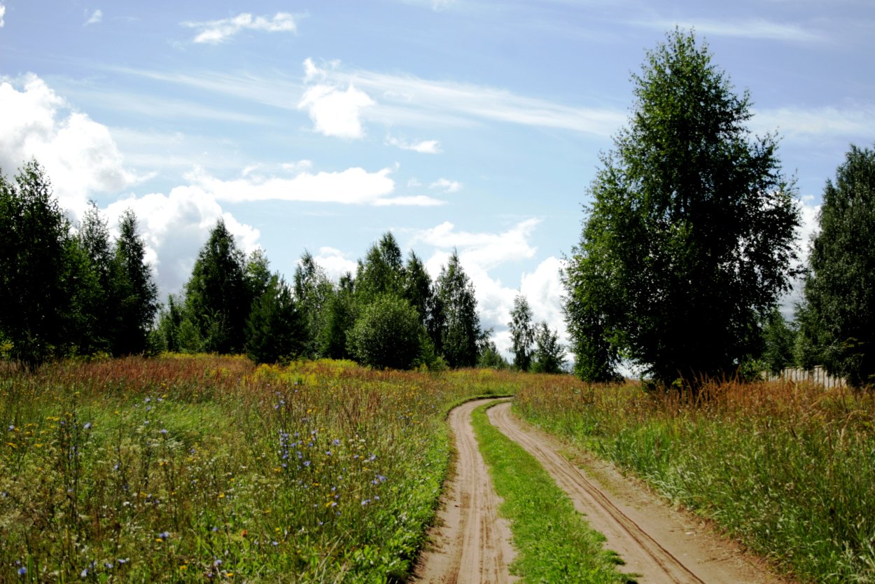Удмуртия средняя полоса России