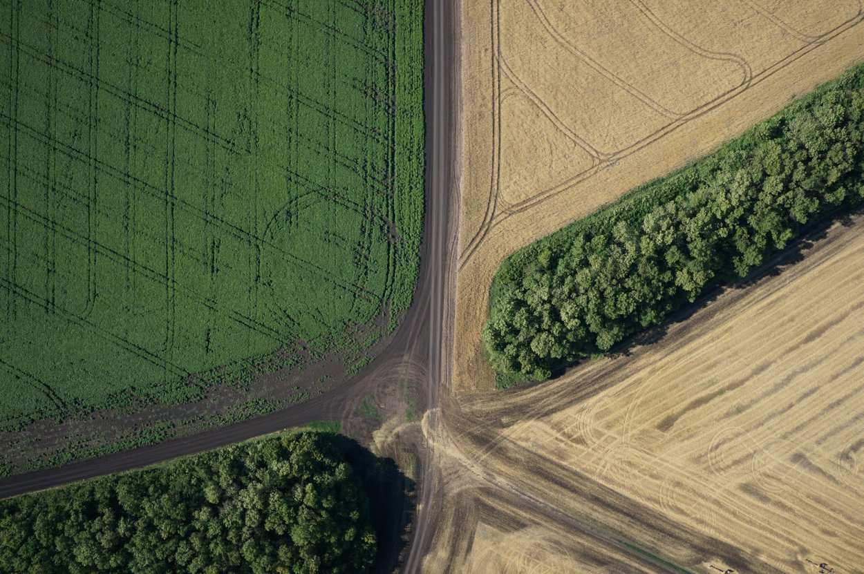 Вид из космоса на поля