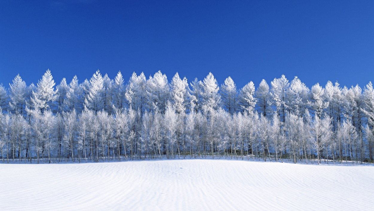 Зимнее поле