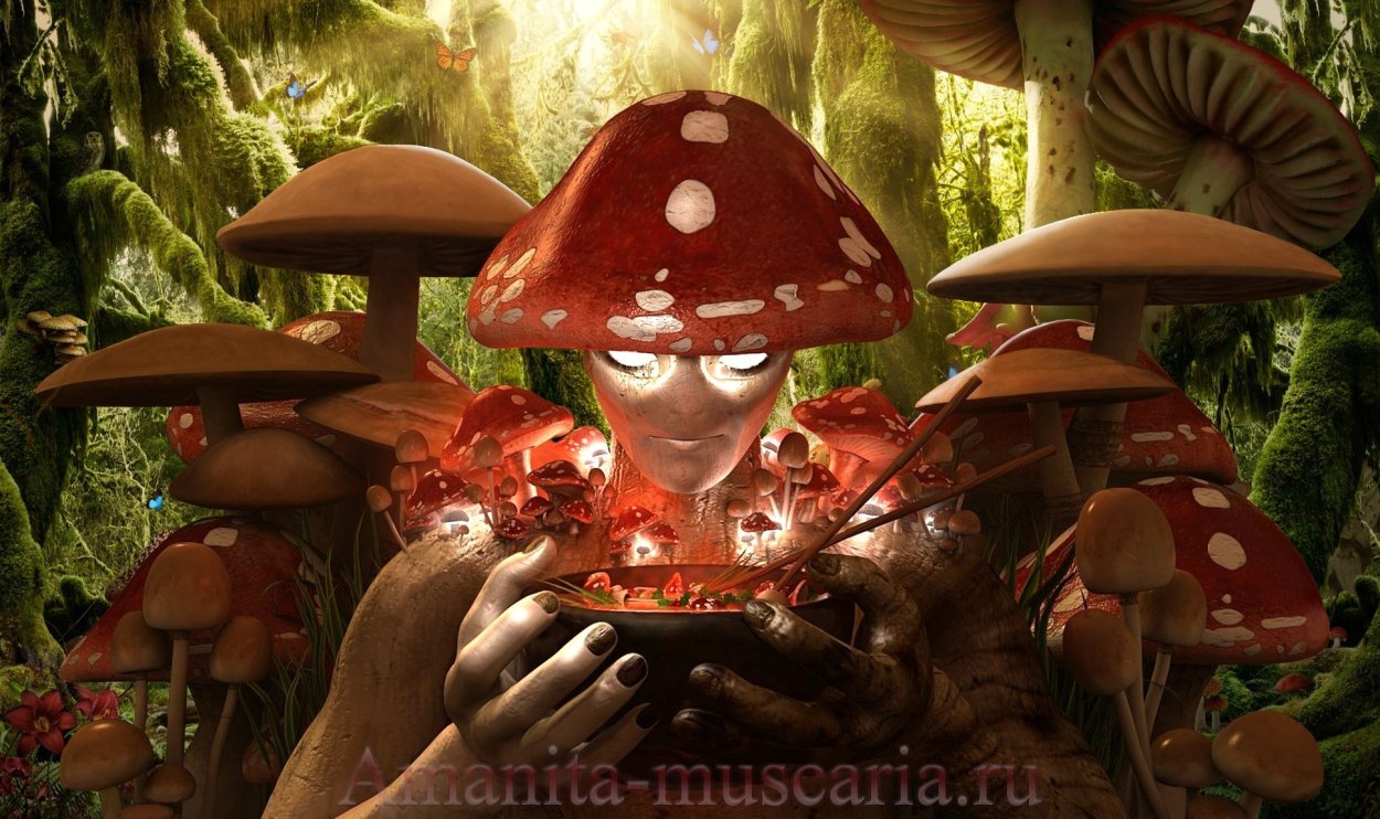 Природа мох грибы