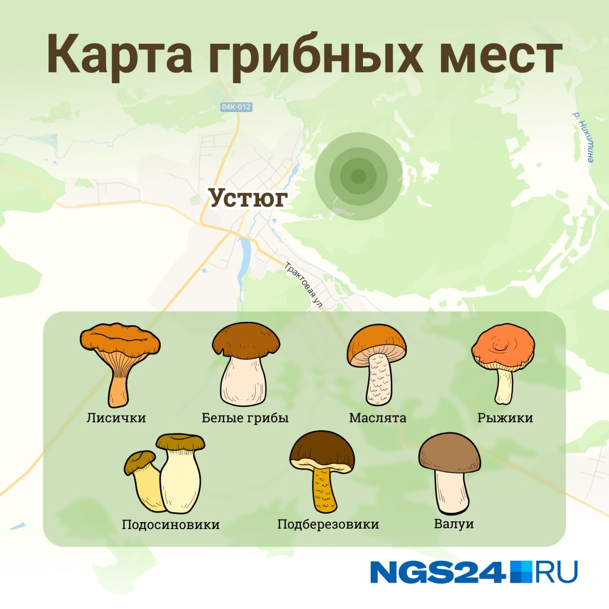 Ядовитые грибы двойники съедобных