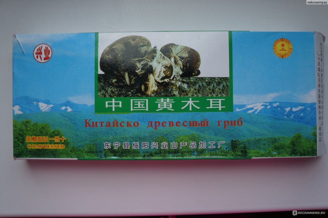 Грибы паразиты на деревьях