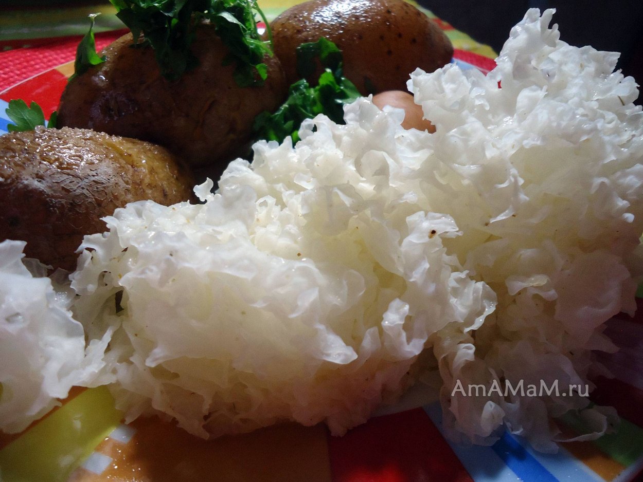 Китайский гриб белый гребешки