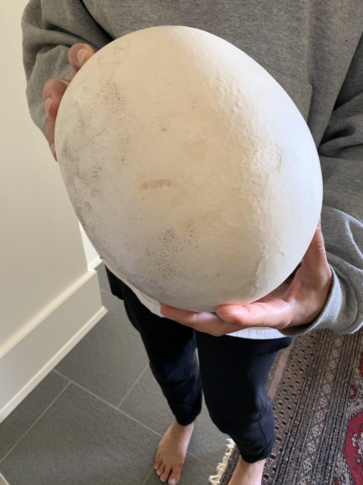 Белый Крымский гриб(дождевик