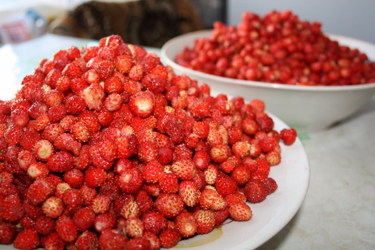 Ведро земляники