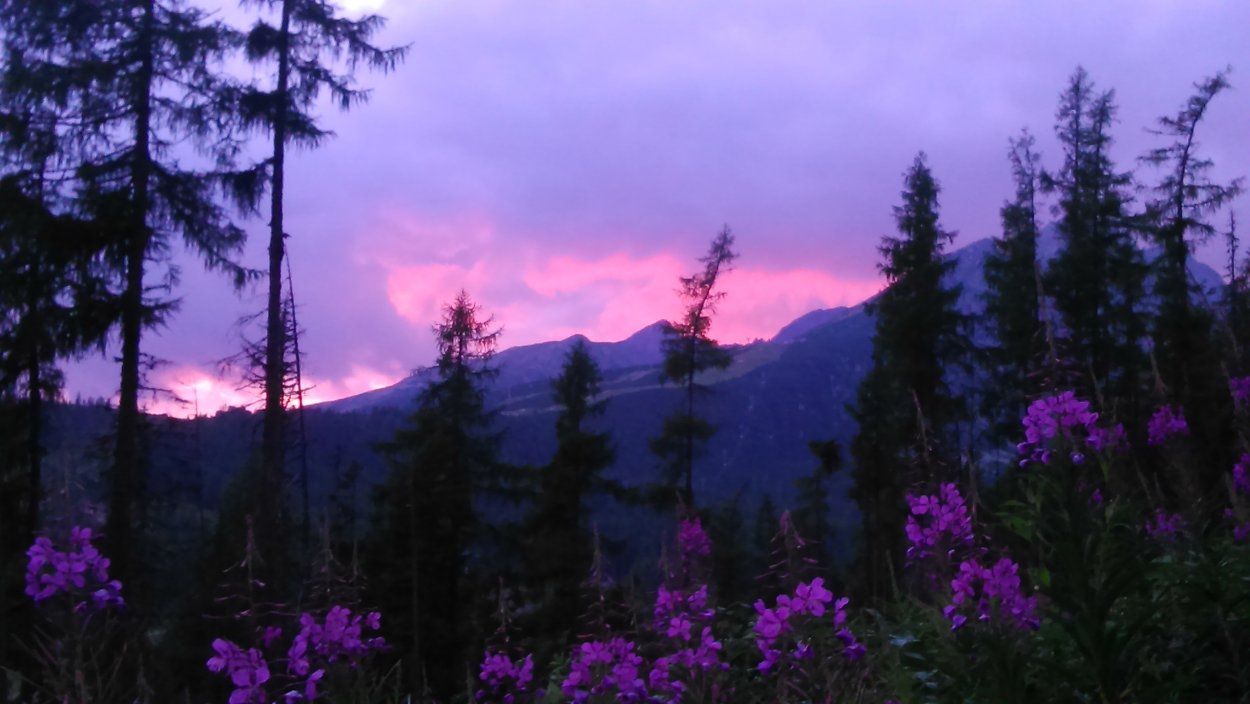 Весна в лесу