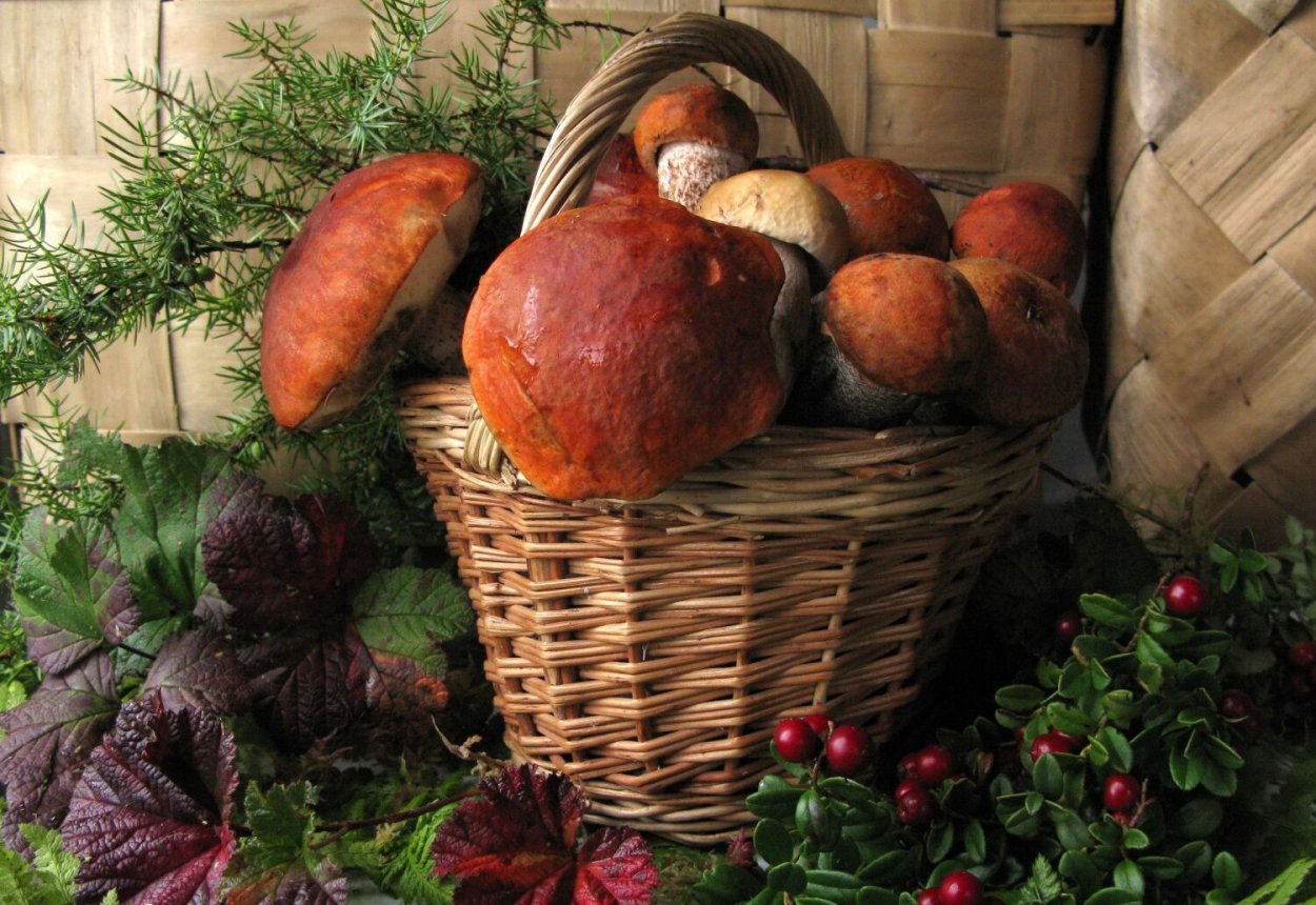 Натюрморт осенние дары природы