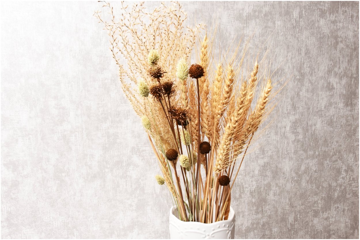 Композиции из сухоцветов для интерьера