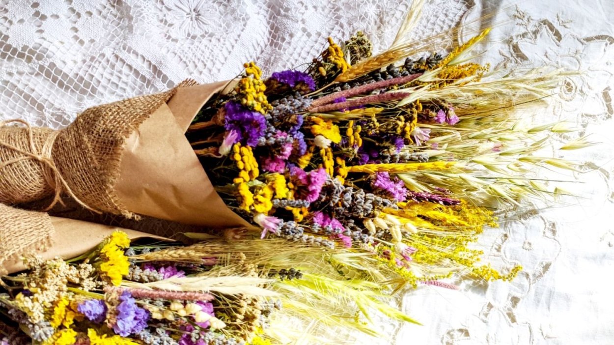 Рапс сухоцвет