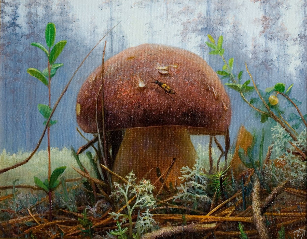 Грибы мухоморы и опята