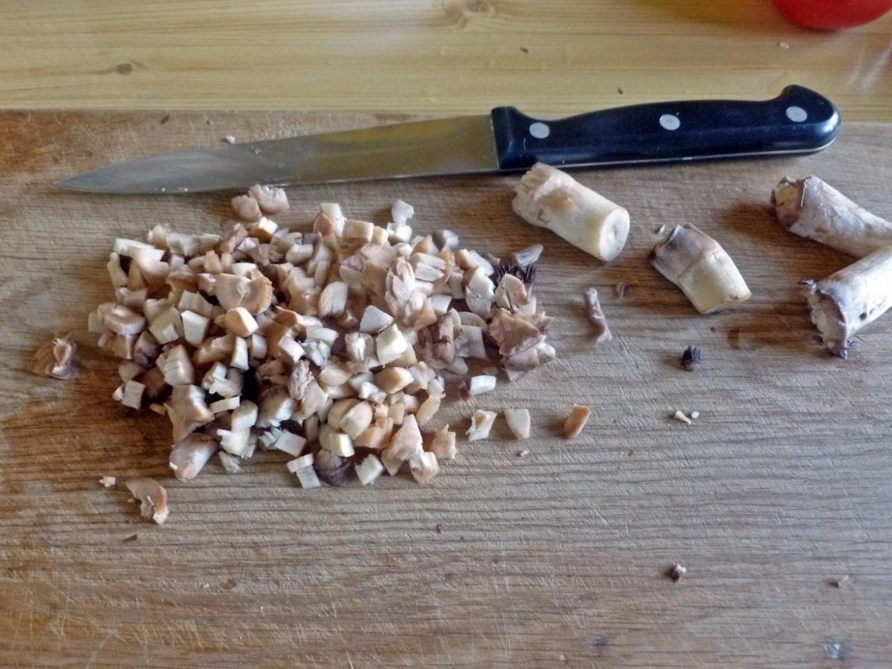 Грибы в электросушилке