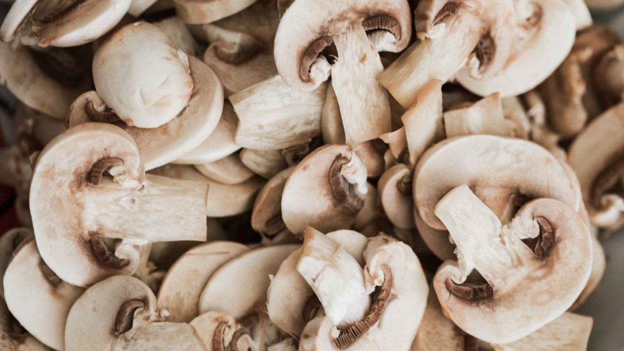 Шампиньоны в разрезе