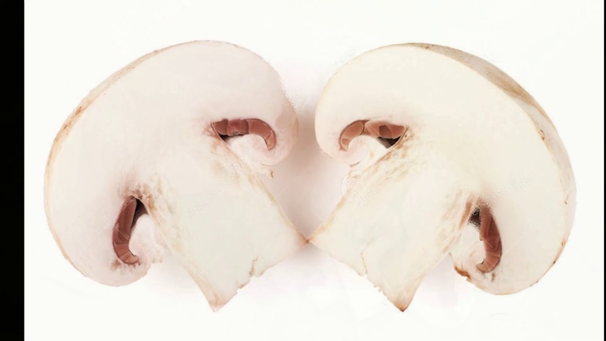 Шампиньоны Графика