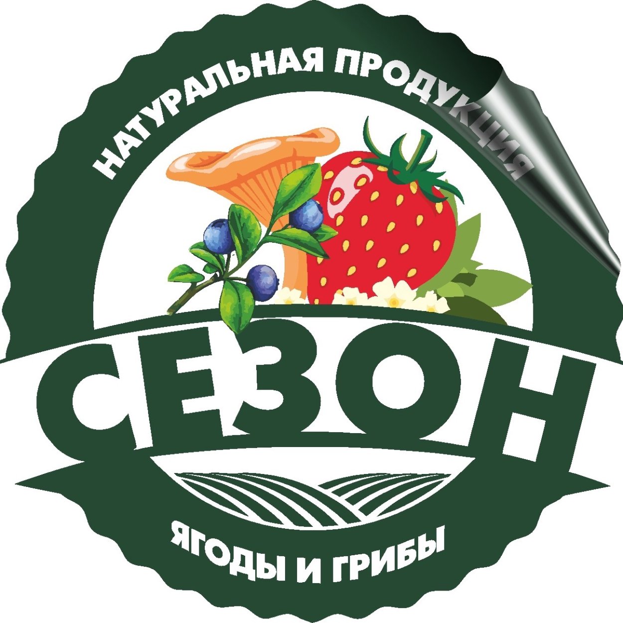 Земляника черника малина Лесные ягоды