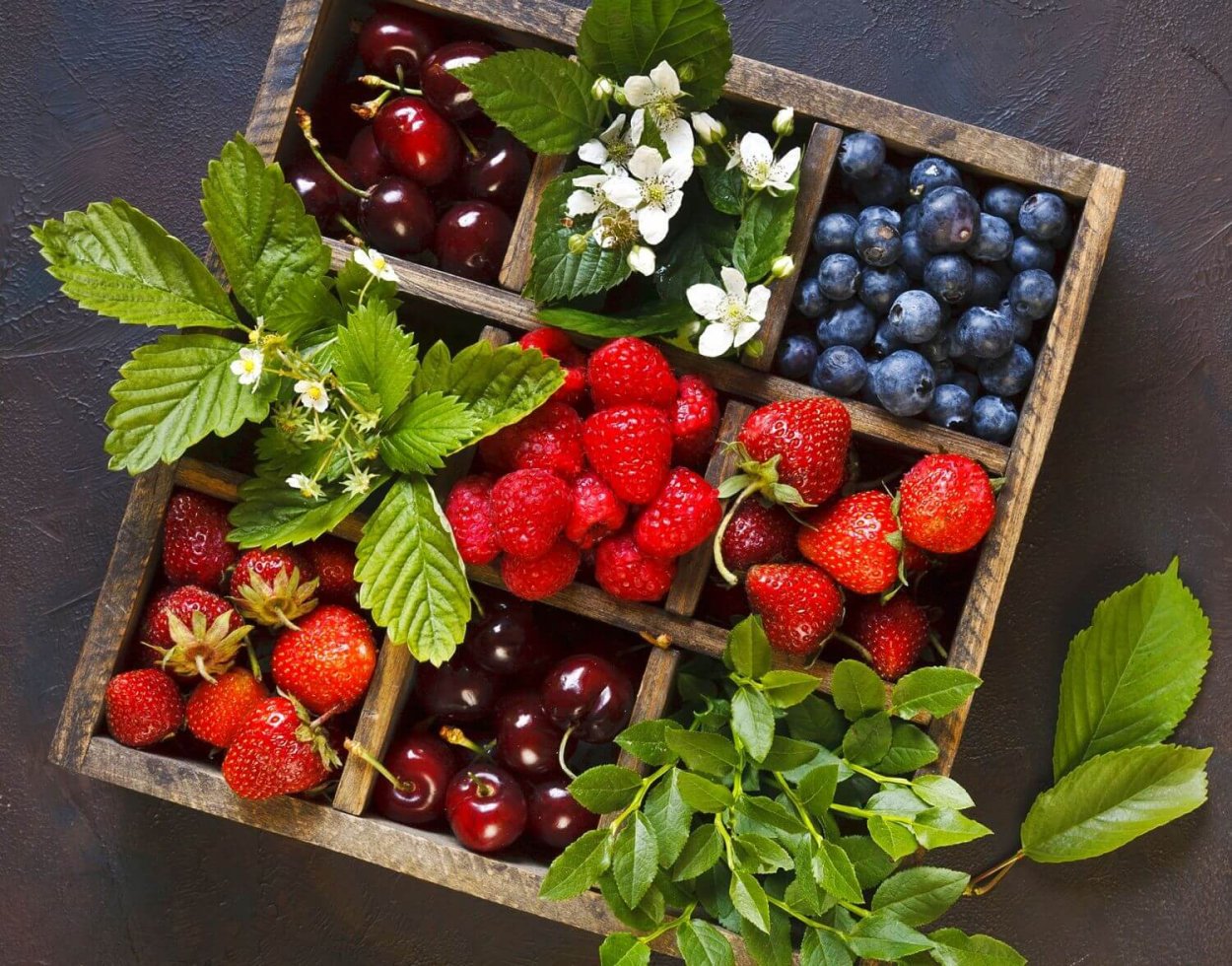 Клюква, Морошка, брусника, голубика