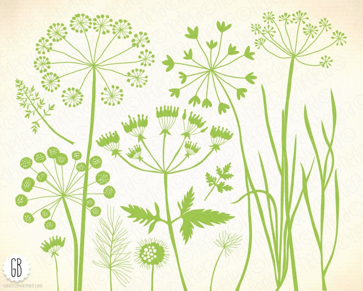 Дикие растения рисунки