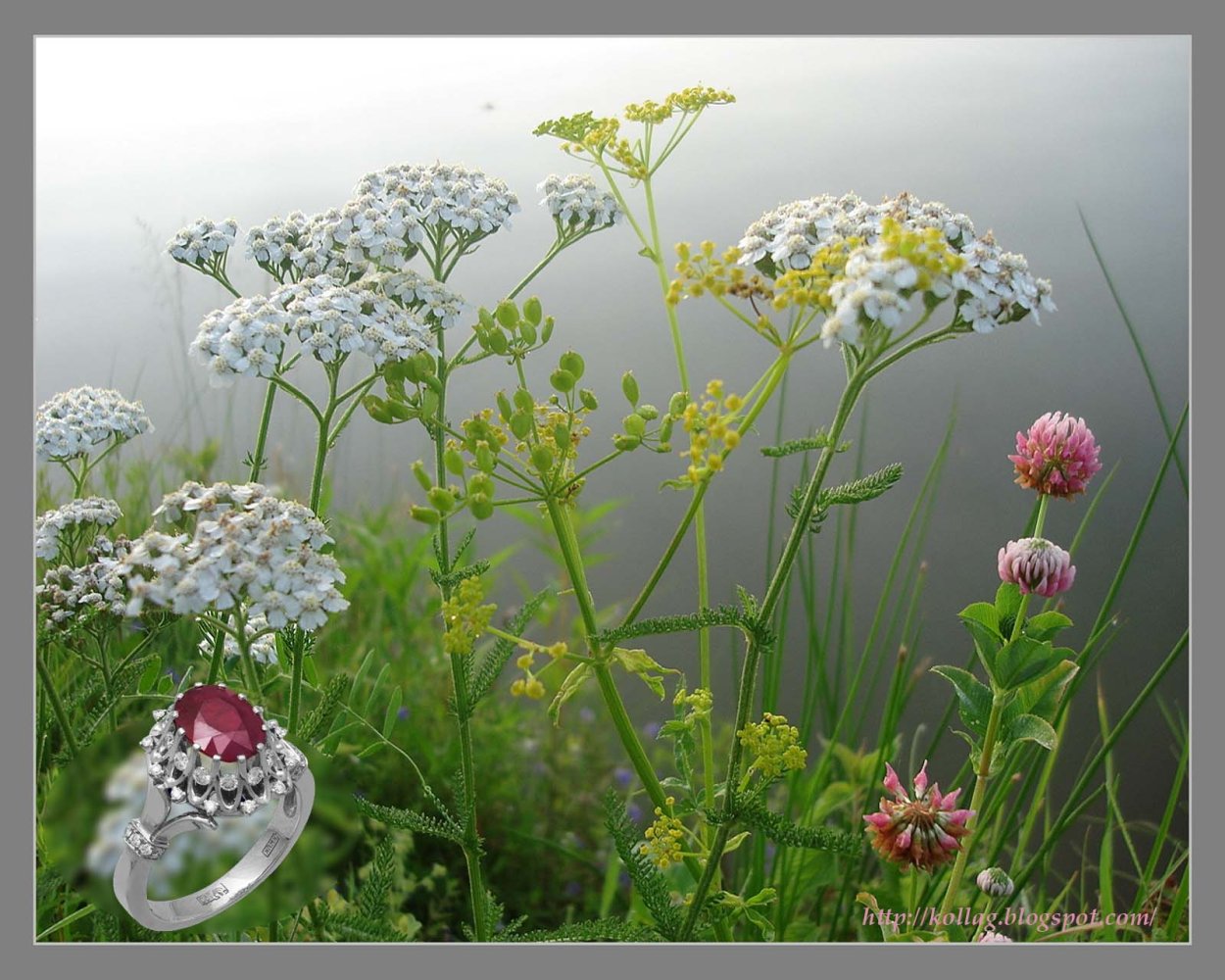 Разнотравье: бессмертник, тысячелистник