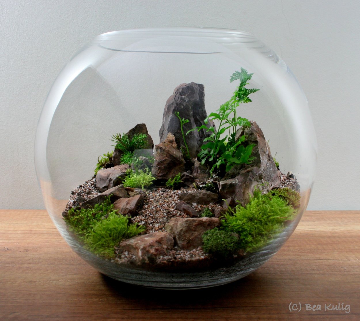 Флорариум с мхом
