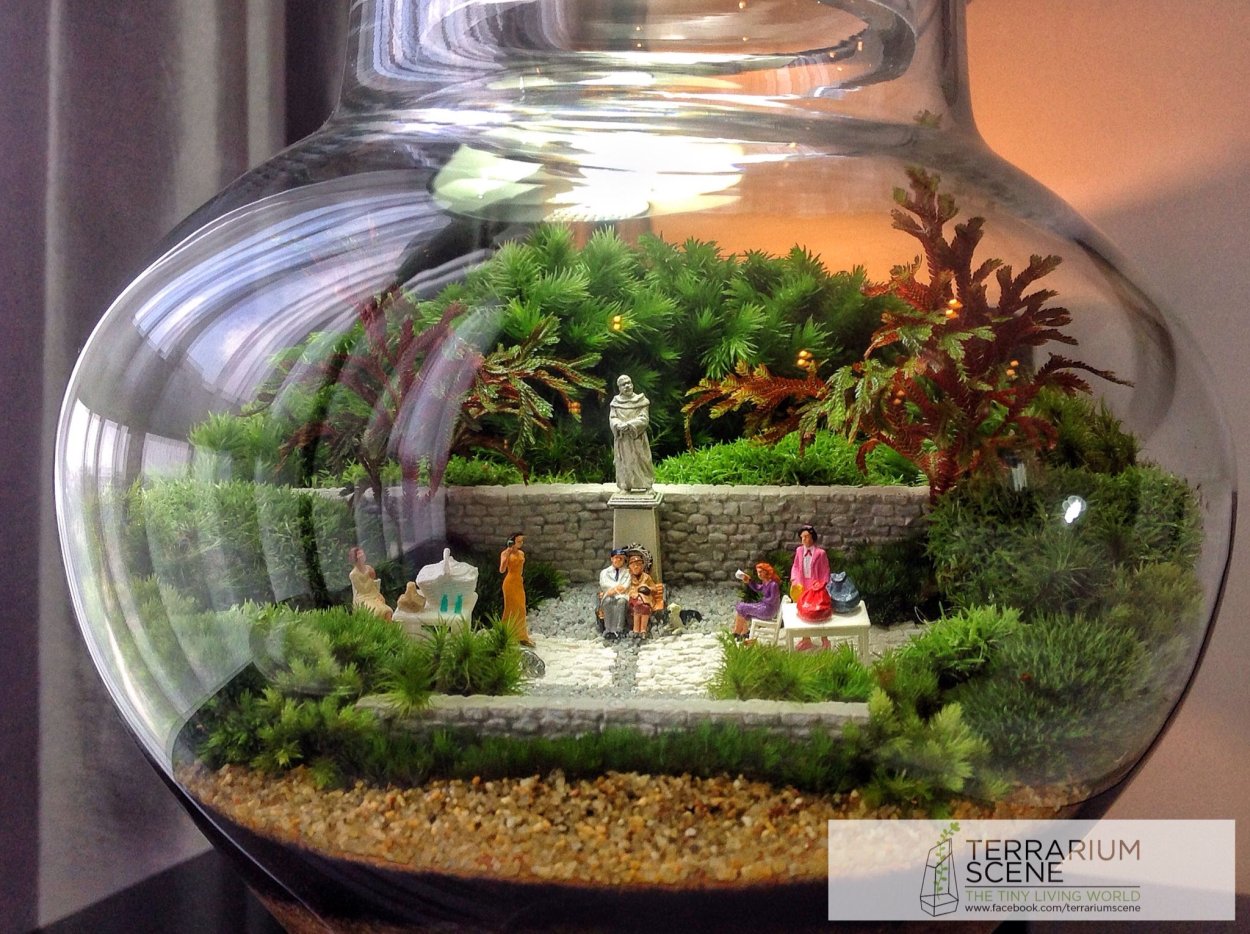 Флорариум сад феи