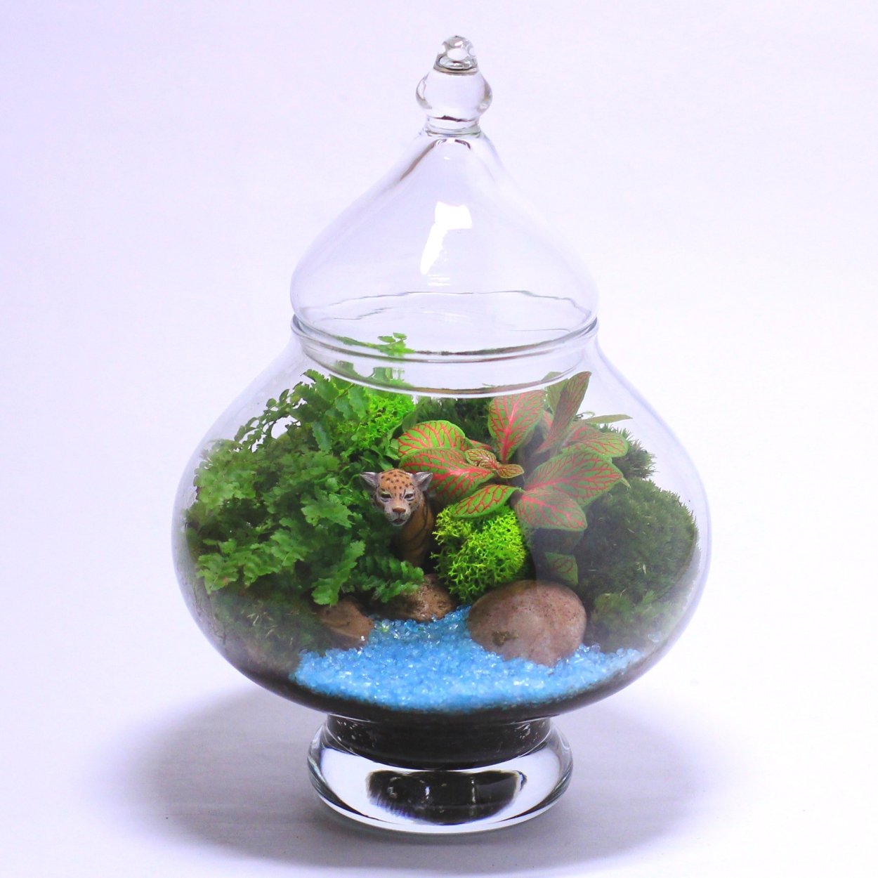 Флорариум джунгли