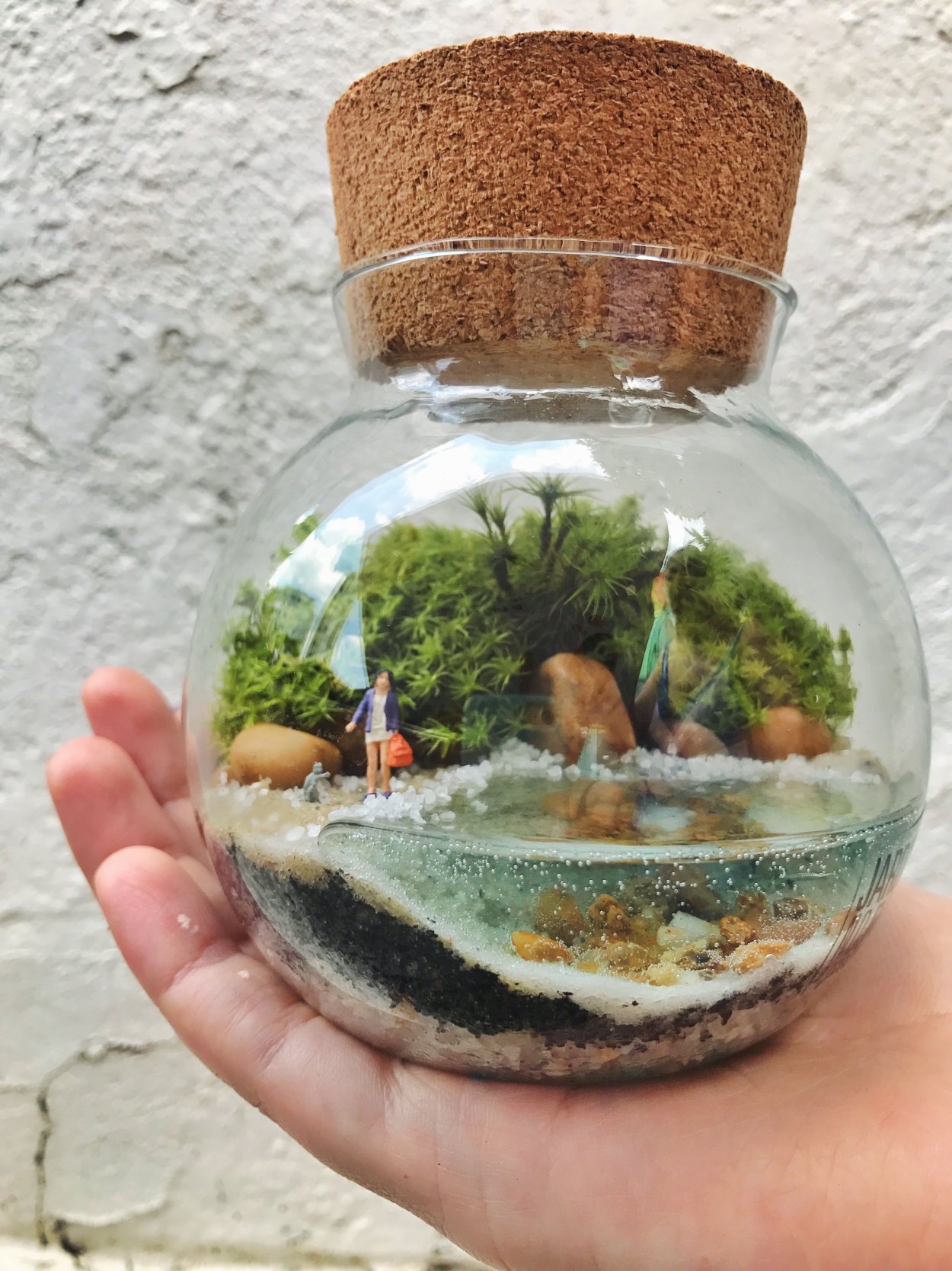 Флорариум замкнутая экосистема