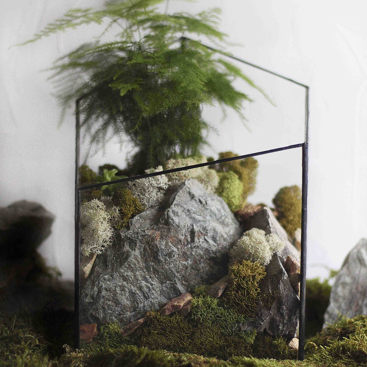 Флорариум с аспарагусом