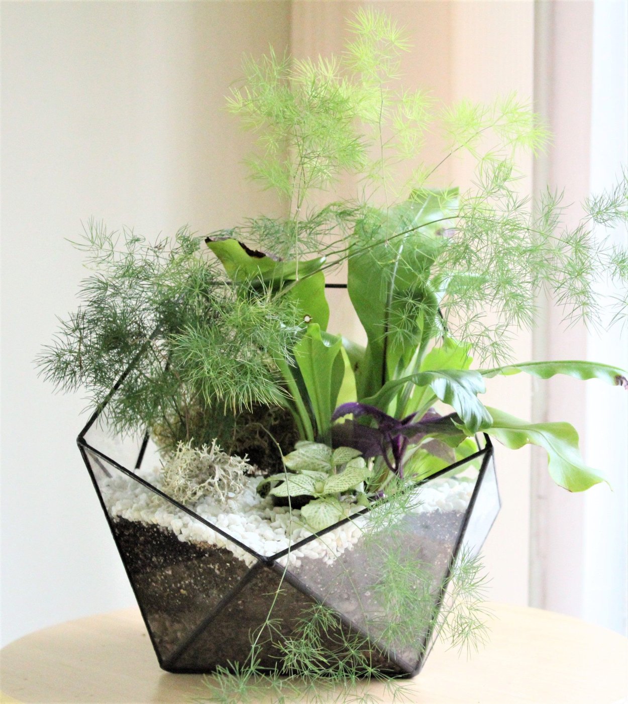 Флорариум с папоротником