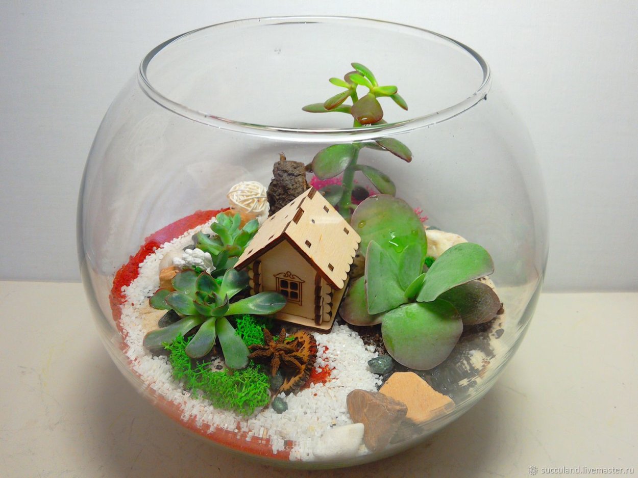 Флорариум "домик"