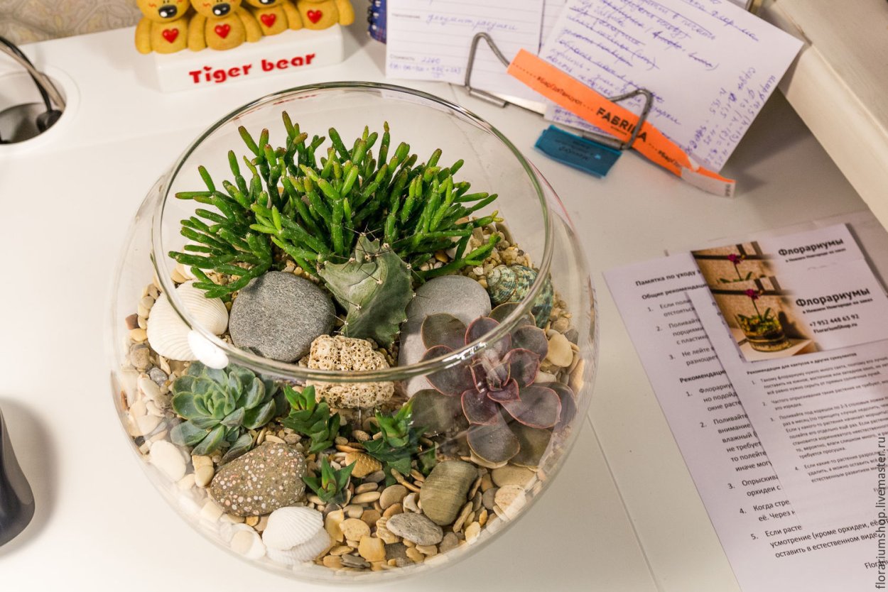 Флорариум с суккулентами в морском стиле