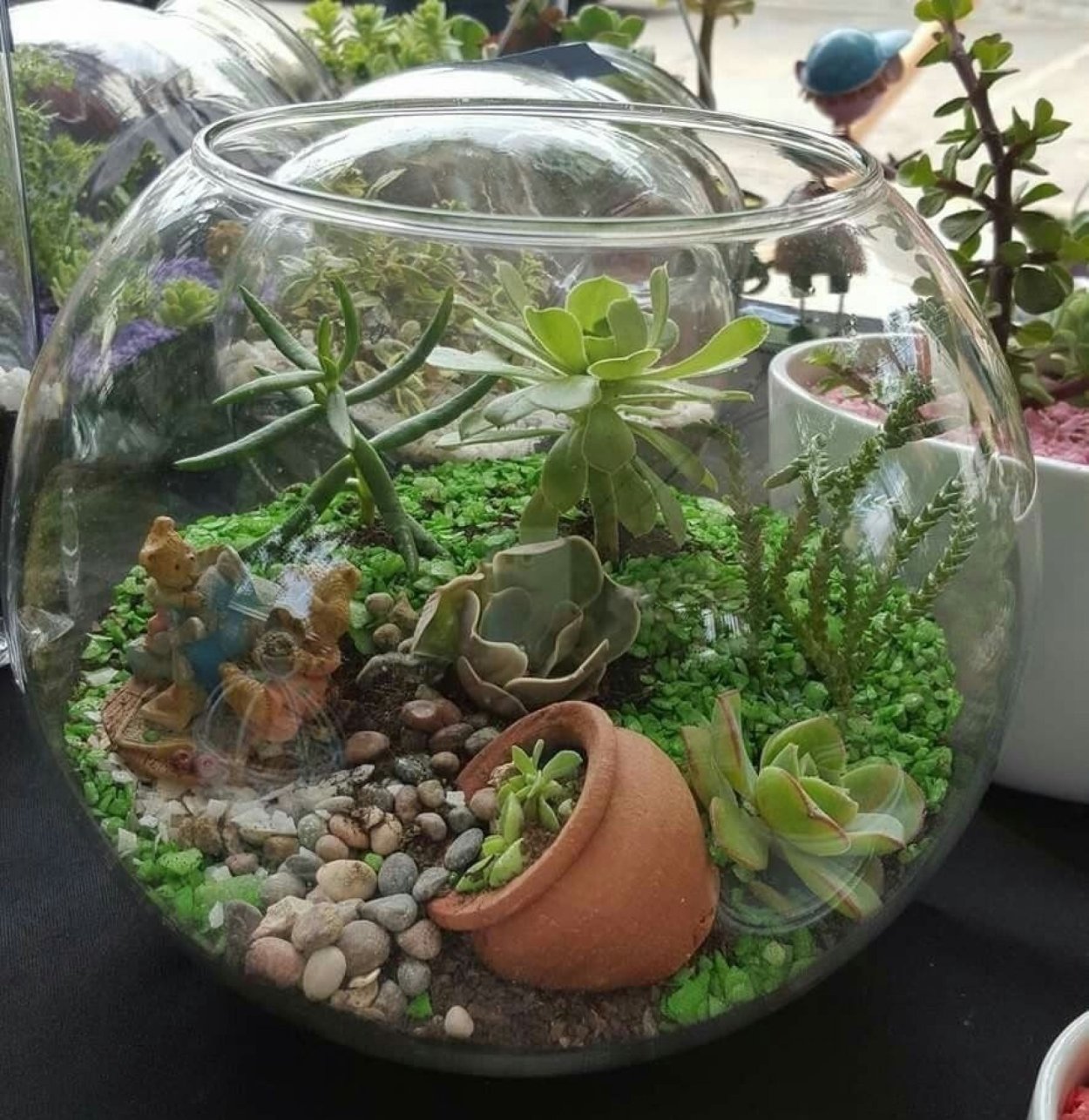 Флорариум плантс