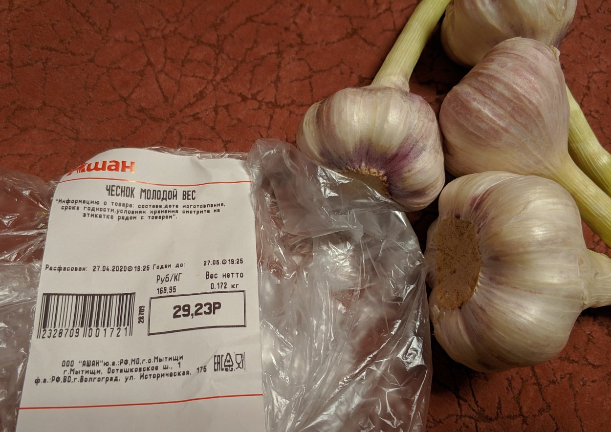 Луговой лук