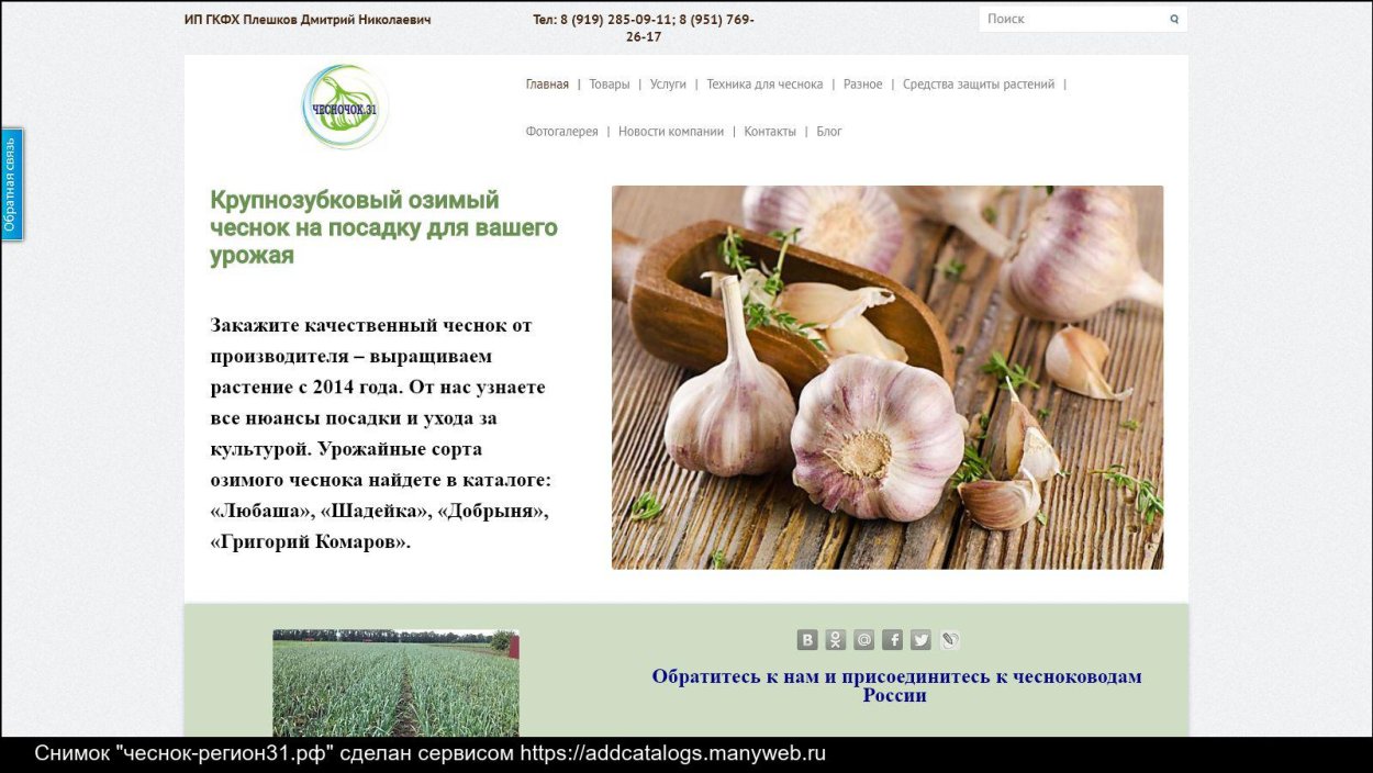 Семейный чеснок что это такое фото