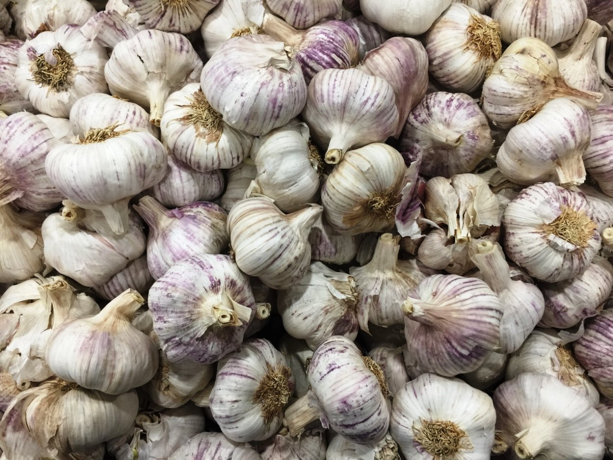 Лук батун апрельский