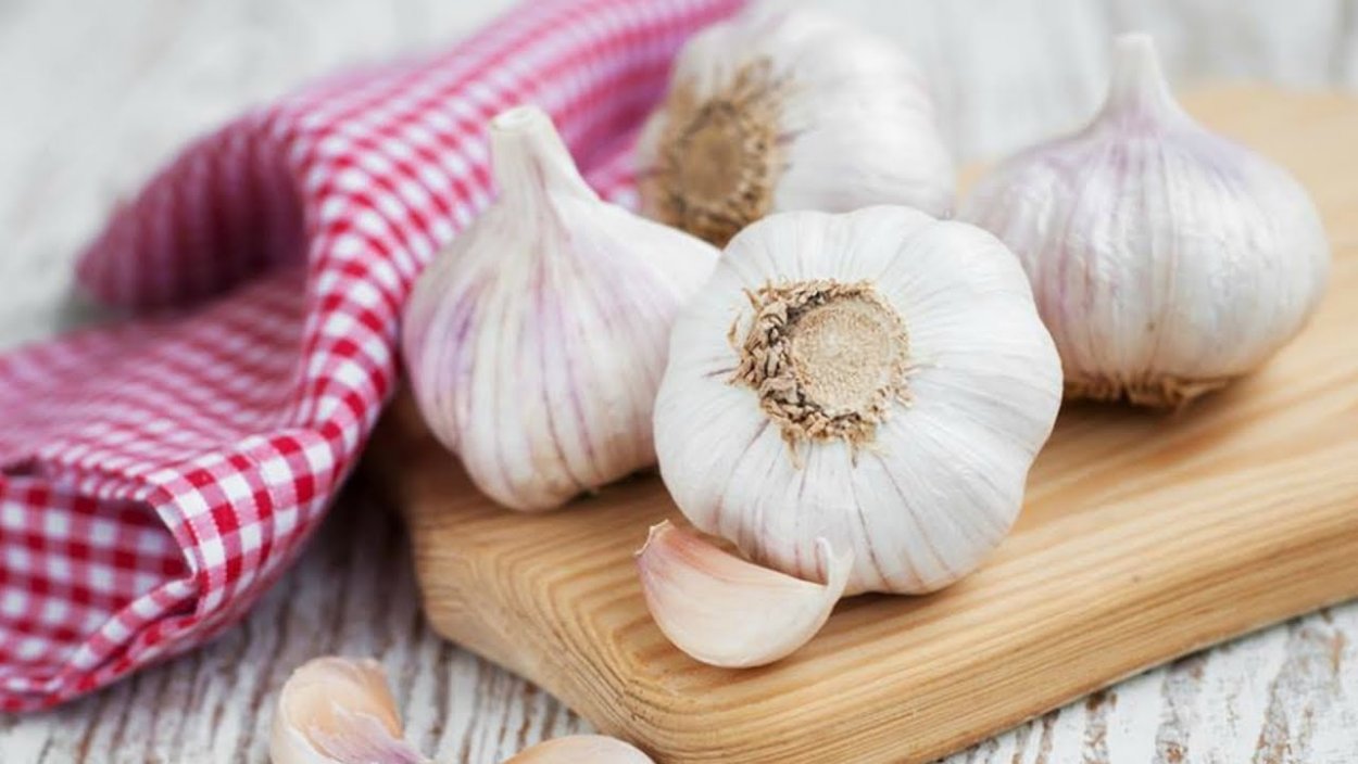 Чеснок мелкий