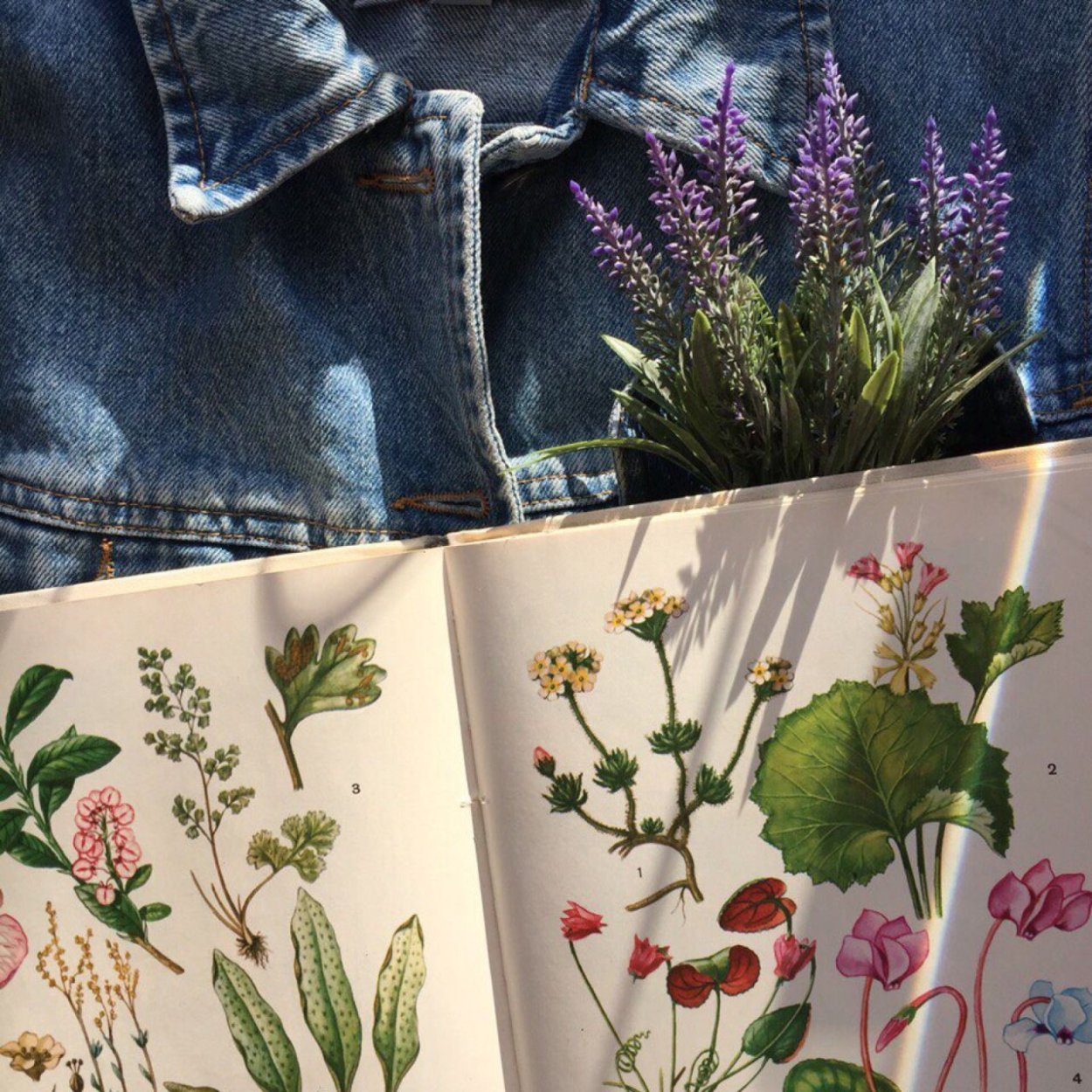 Виктория Левина