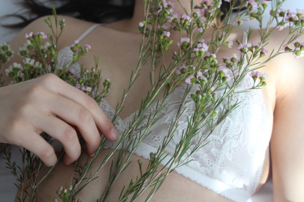 Ботаническая Акварельная живопись Клевер