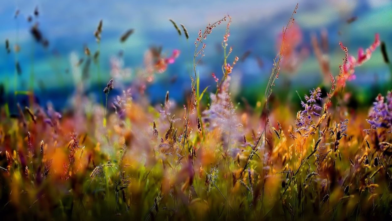 Лиля Пономарева