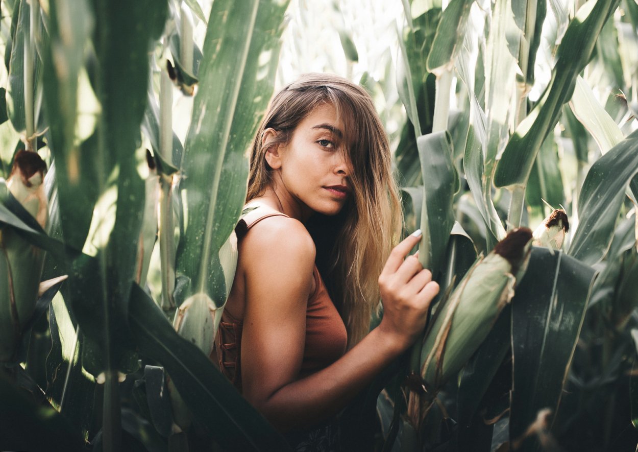 Лаванда акварель